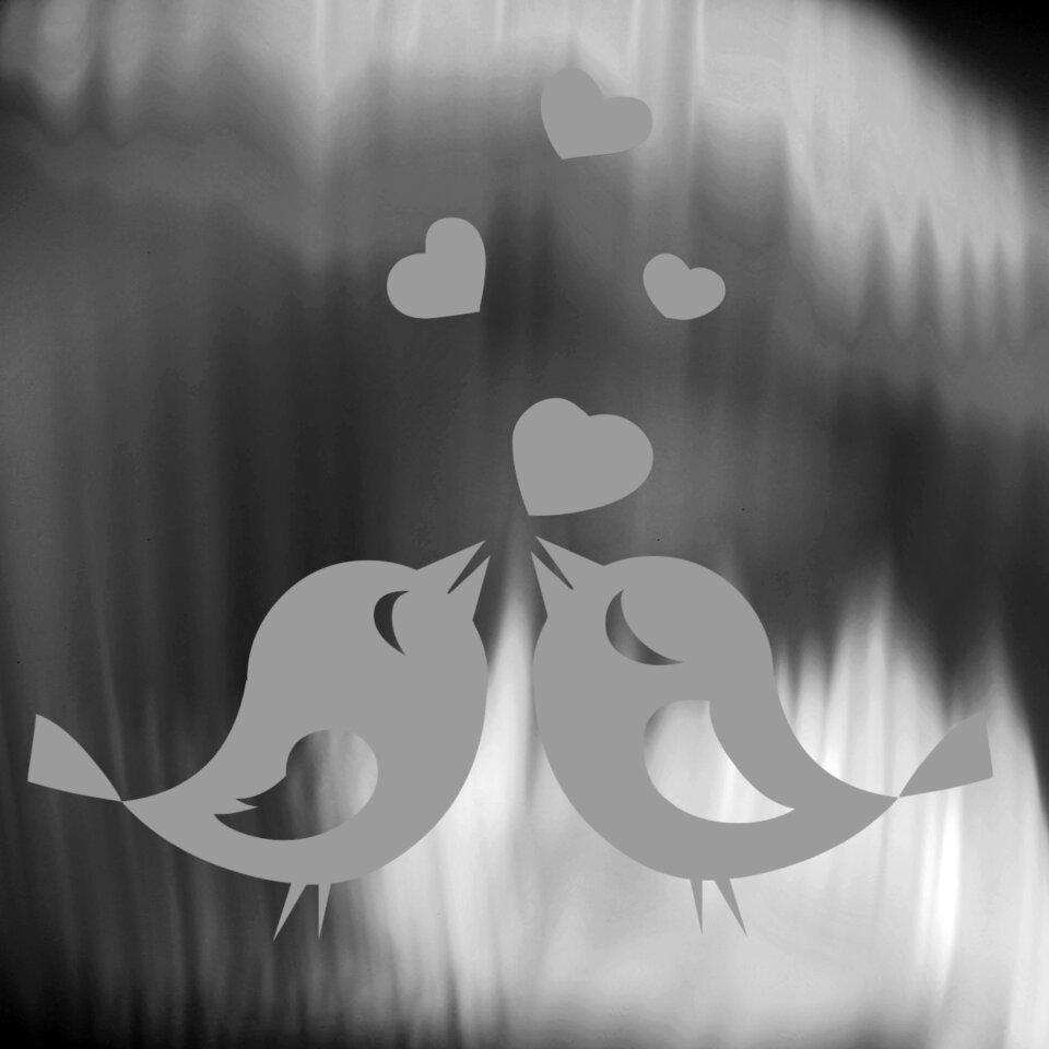 Pair birds caress