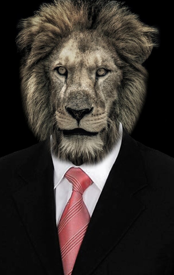 Shirt lion animals