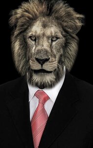 Shirt lion animals
