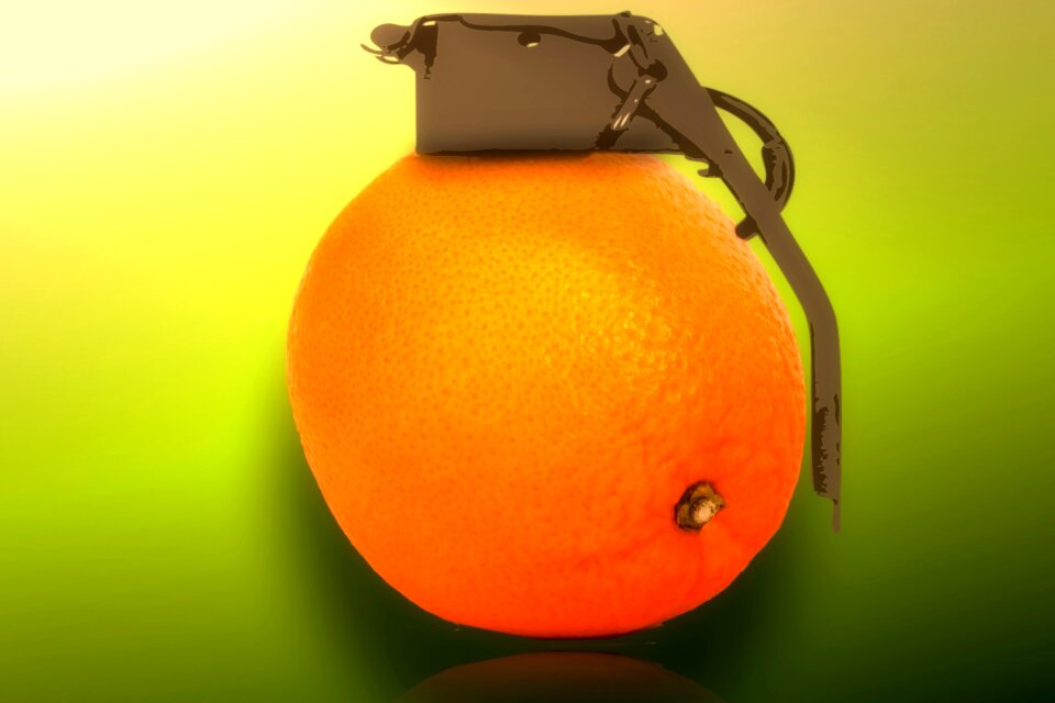 Fruit vegan composing
