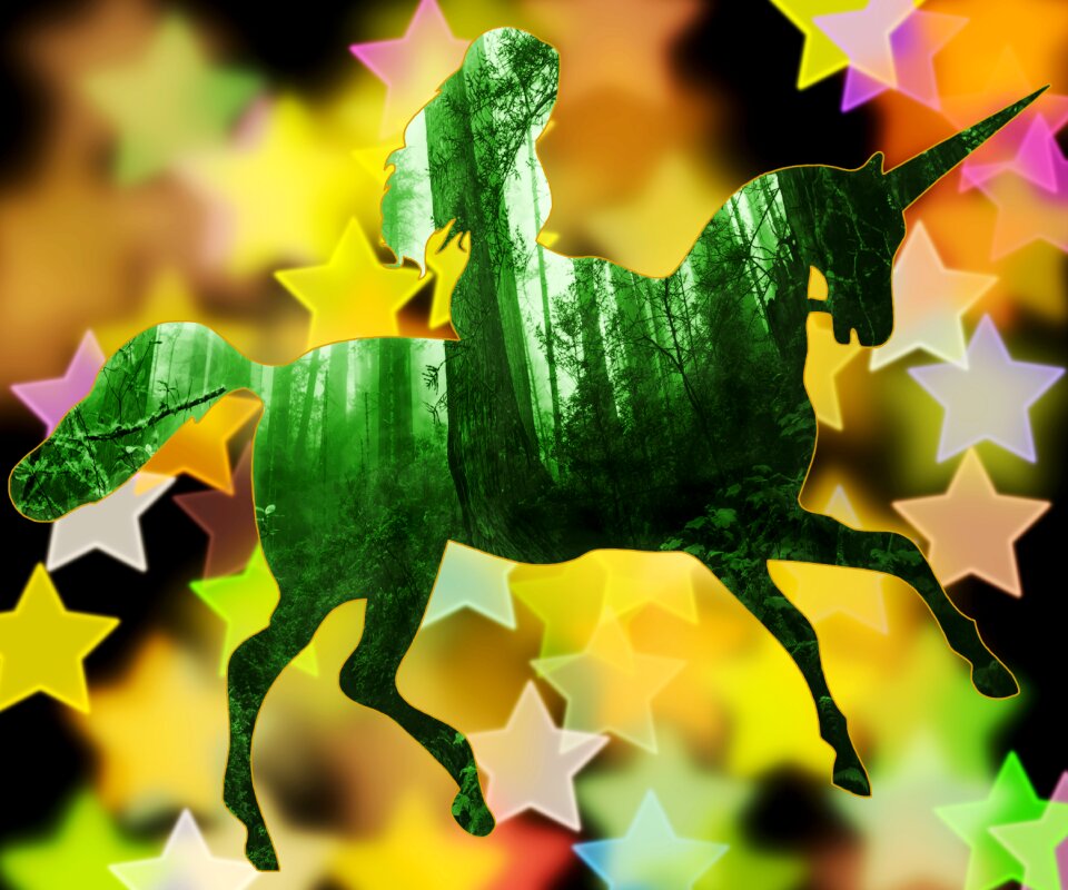 Forest stars girl