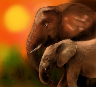 Sun savannah Free illustrations