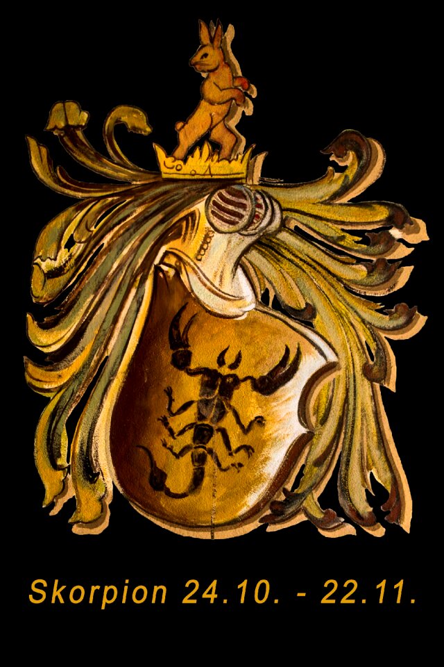 Signs of the zodiac symbol new age