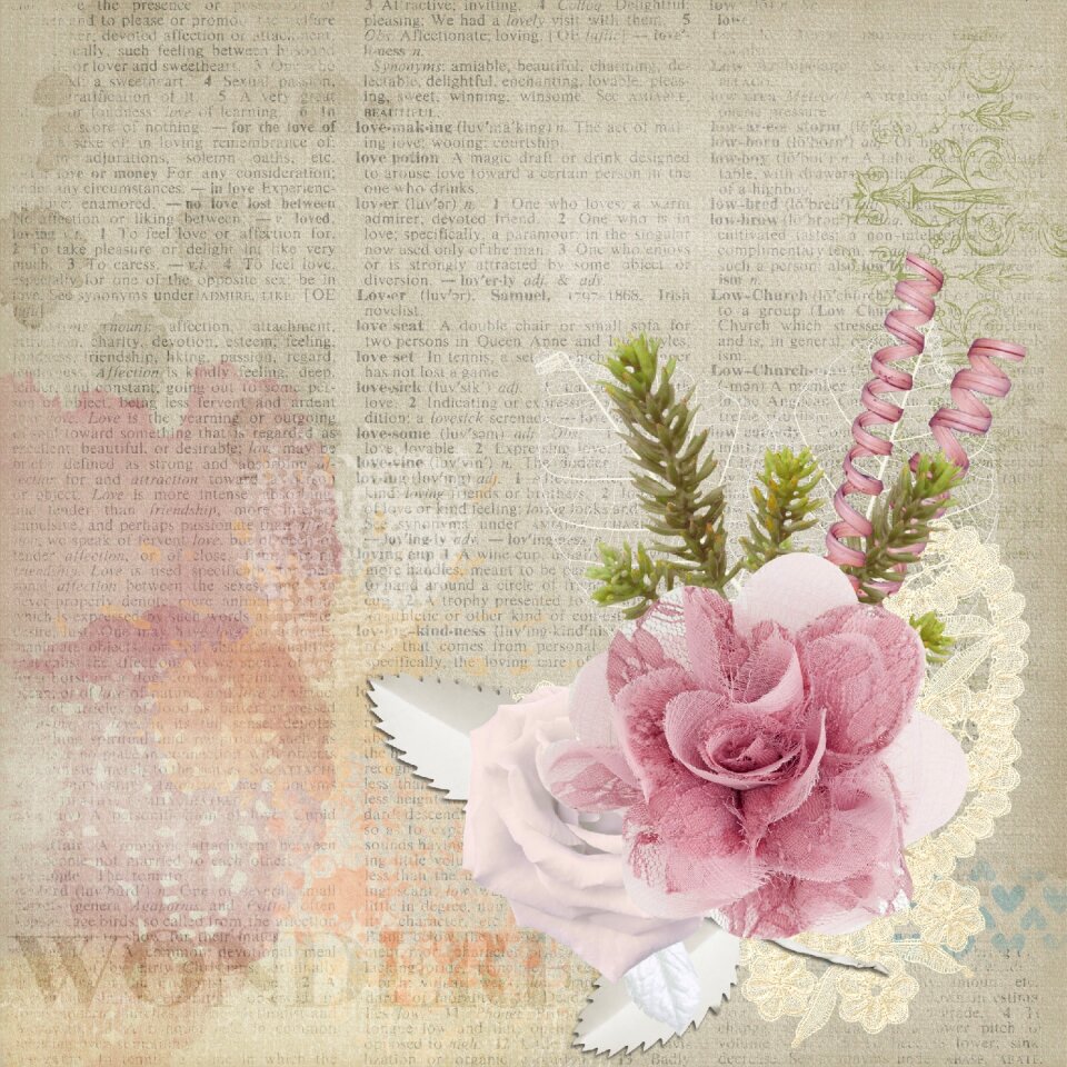 Frame rose grunge