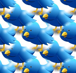 Tweet bird blue
