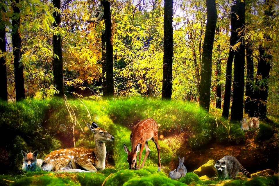 Design remix nature