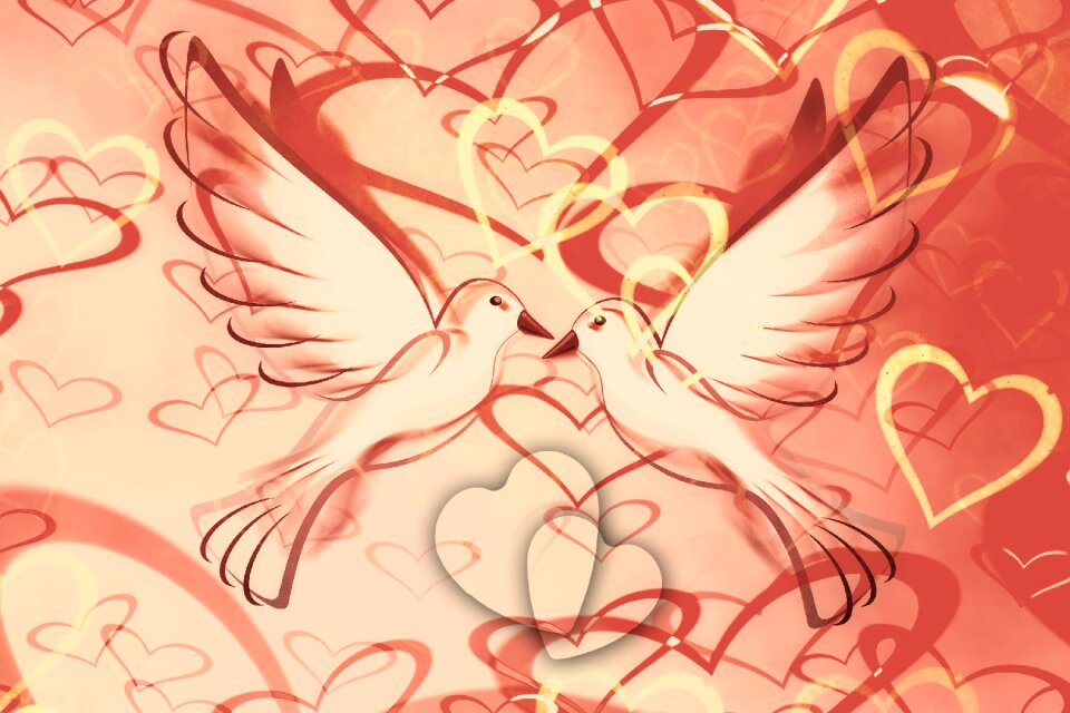 Lovebirds whisper sweet nothings smooch