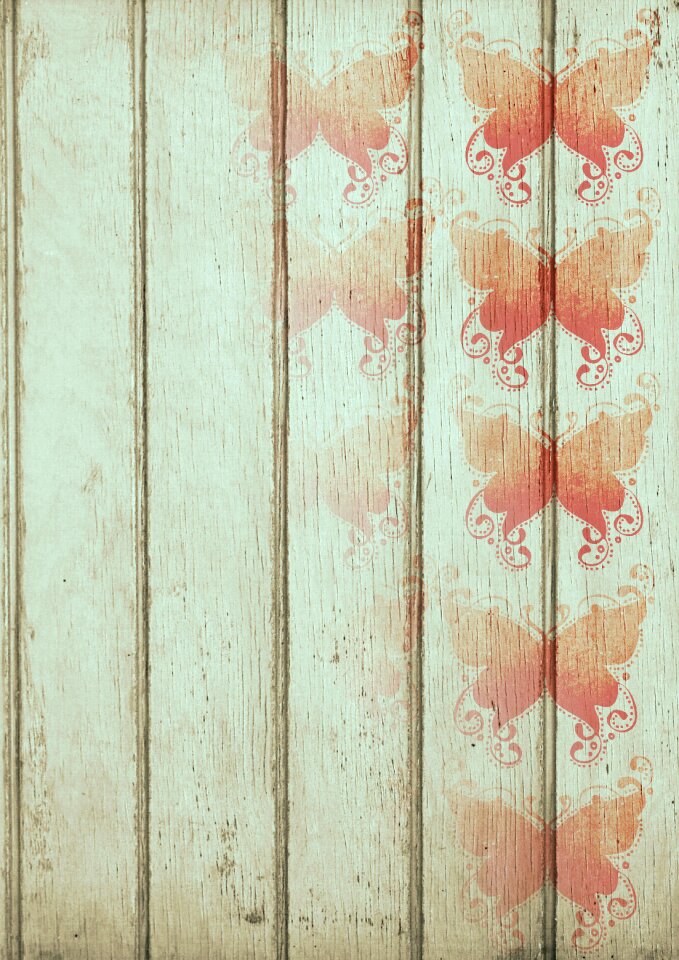 Butterfly design art