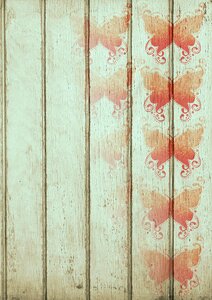 Butterfly design art