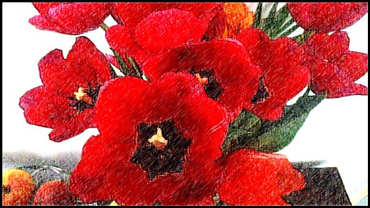 Flower red Free illustrations