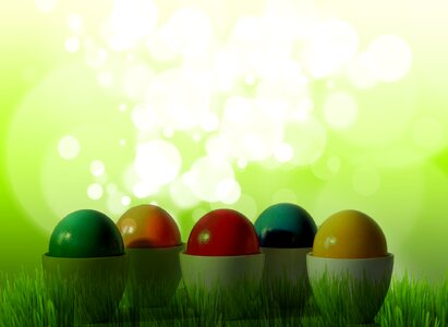 Egg wallpaper bokeh