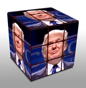 Usa america election