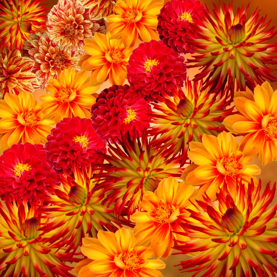 Sunny late summer nature
