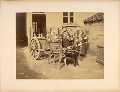 Wagons house working dogs