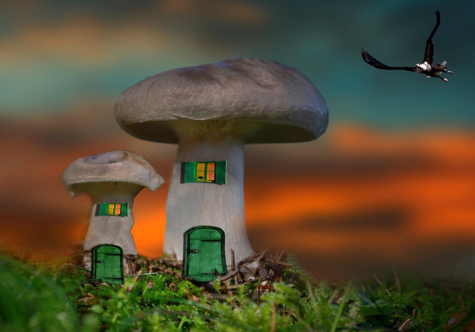 Fantasy photomontage composing