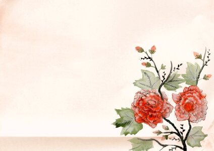 Flower rose old