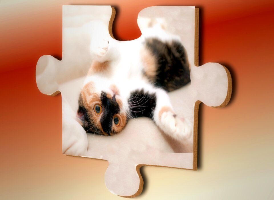 Match piecing together play