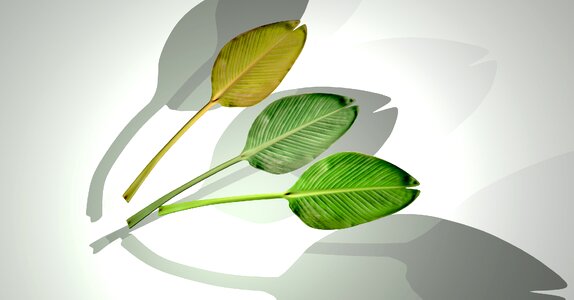 Texture background design