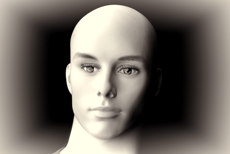 Display dummy doll face human
