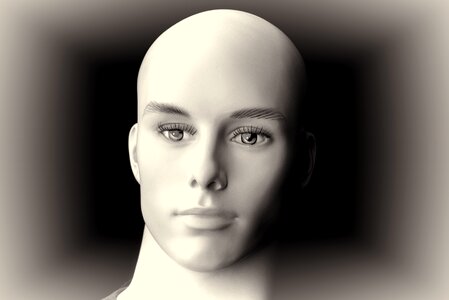 Display dummy doll face human