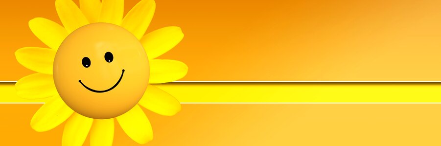 Sun smile banner