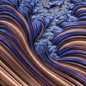 Dimensional curves art