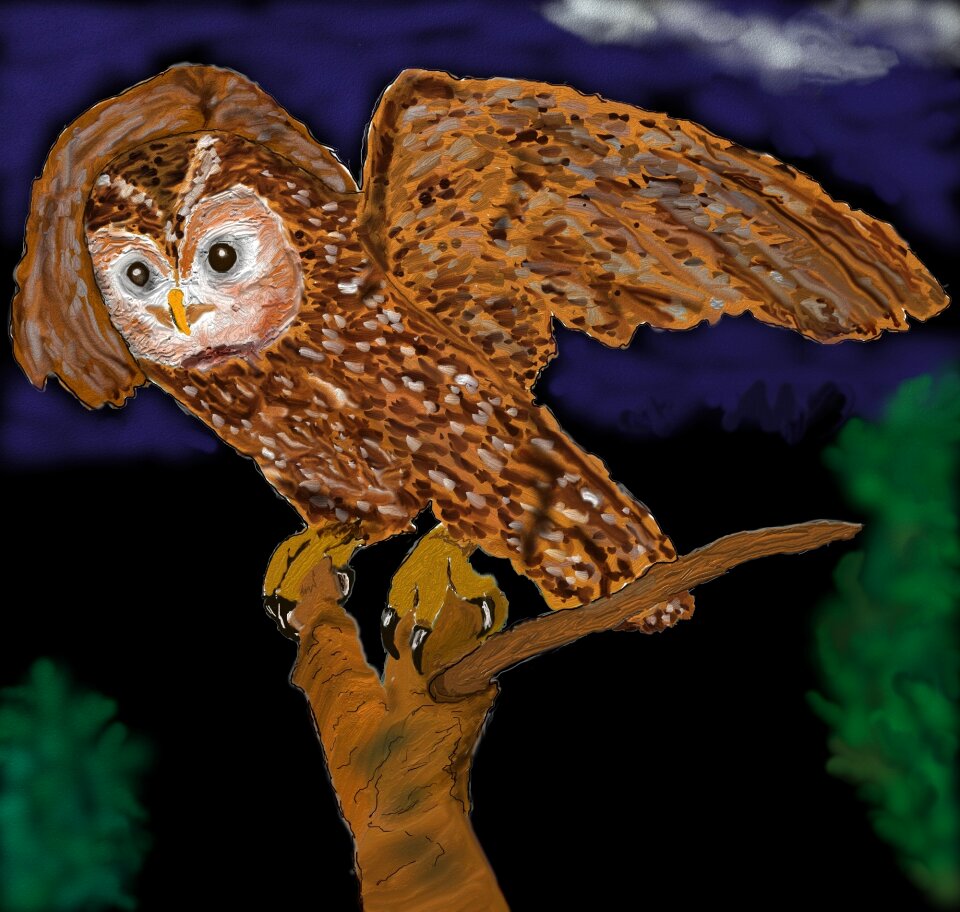 Bird flying plumage