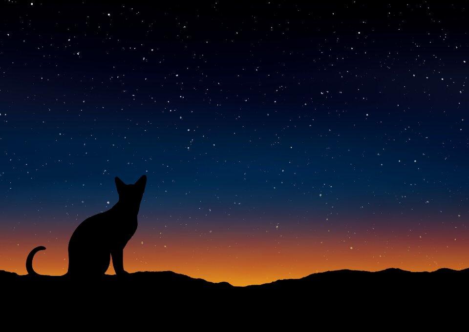 Nature sky Free illustrations