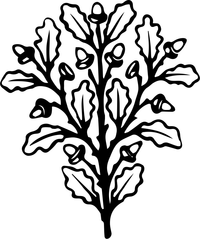 Antique black black and white