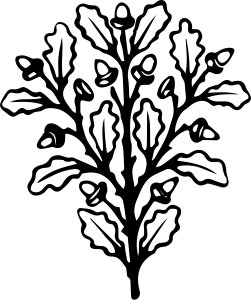Antique black black and white