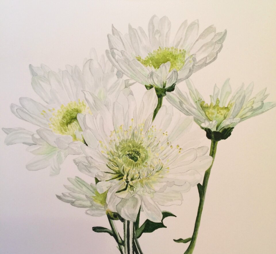 Floral nature spring