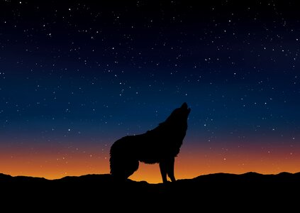 Nature sky Free illustrations