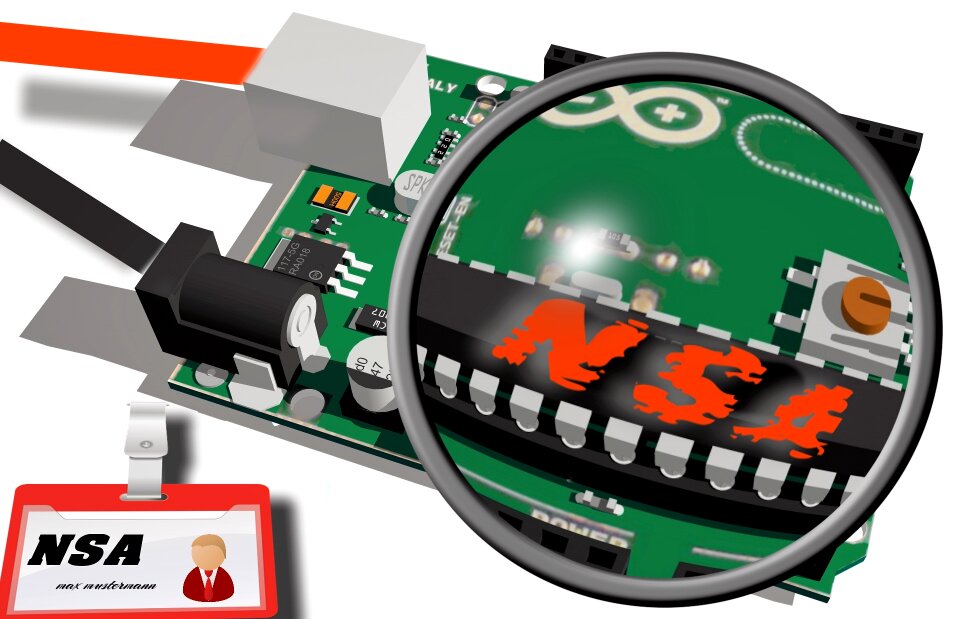 Back door cyber spy