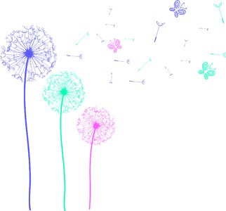 Butterflies dandelion Free illustrations