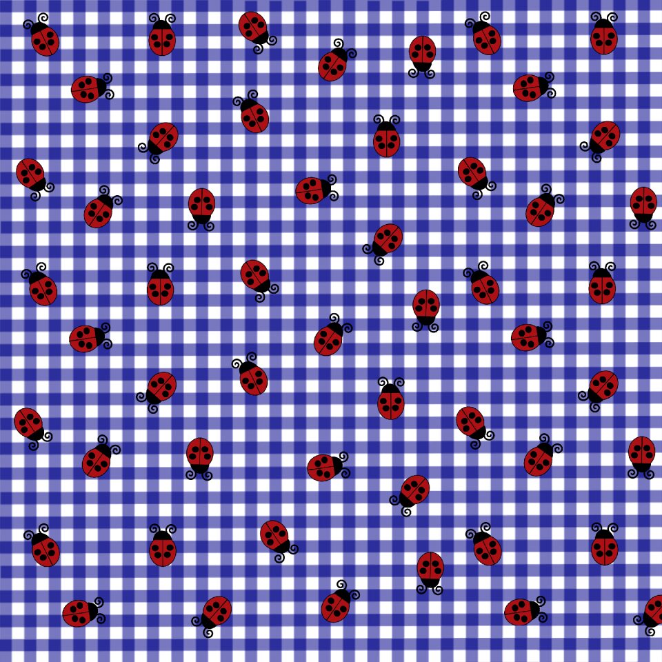 Pattern ladybug ladybird