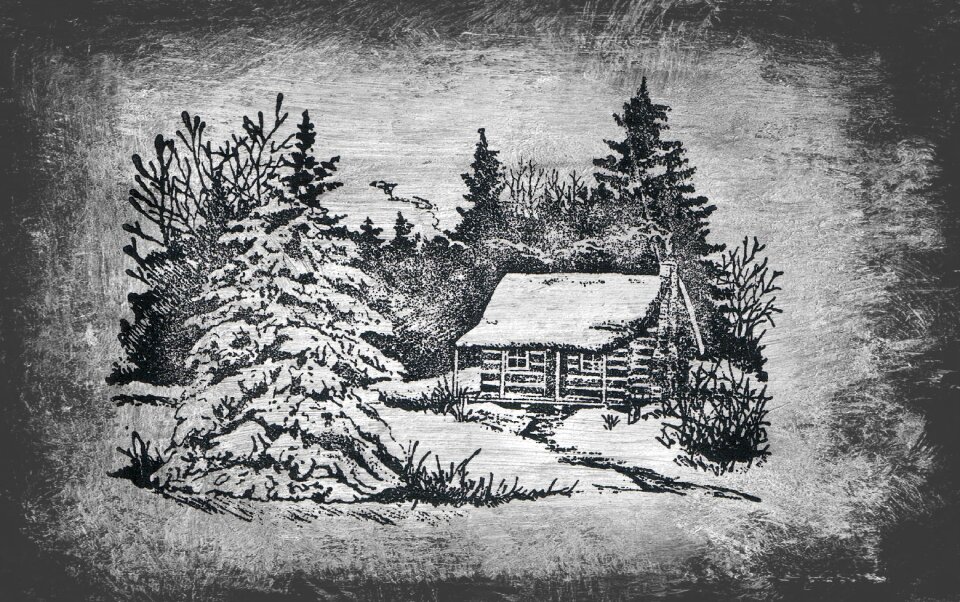 Cottage forest snow