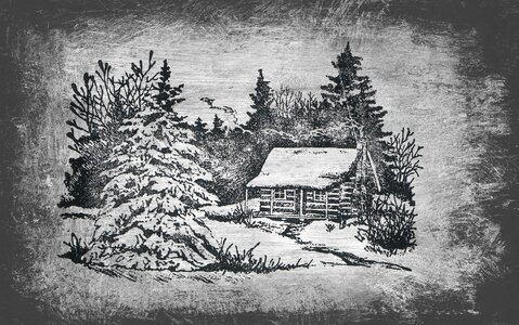 Cottage forest snow