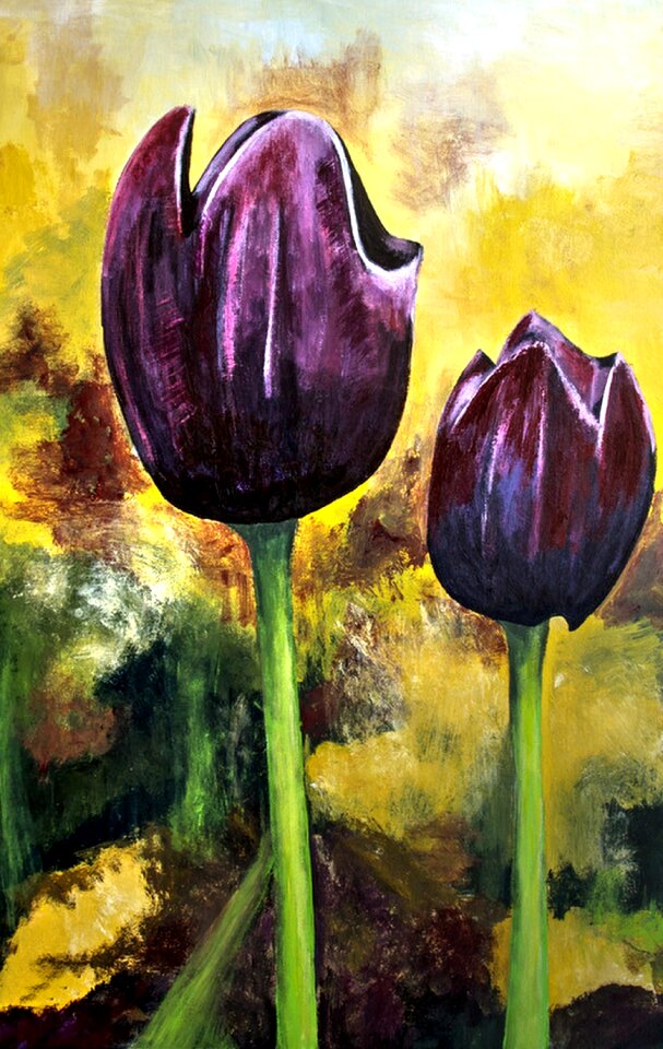 Artistic canvas Free illustrations