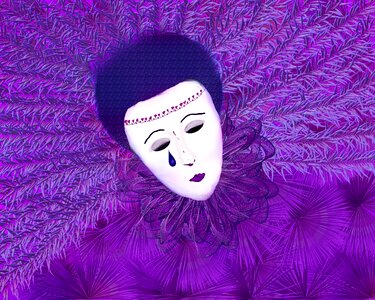 Purple venice celebration