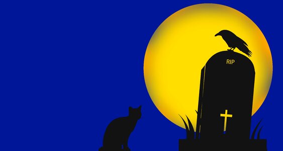 Moon dark night
