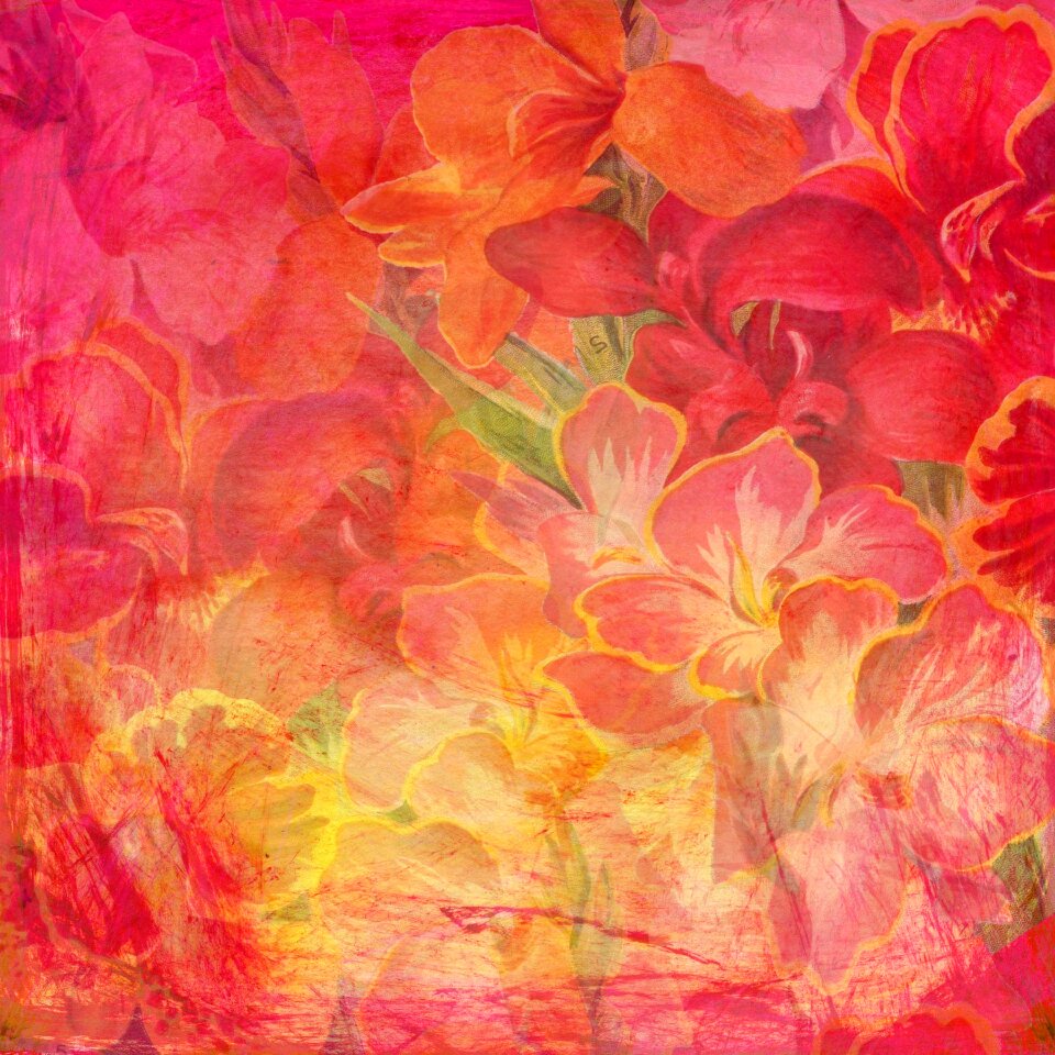Background red pink