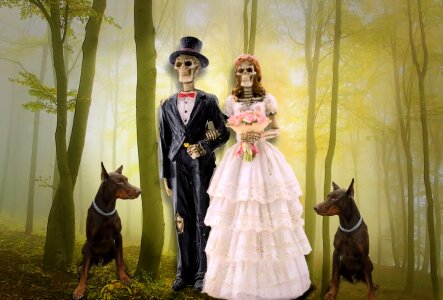 Decoration wedding black