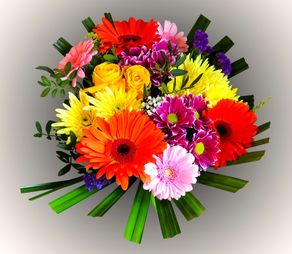 Gerbera rose mother's day
