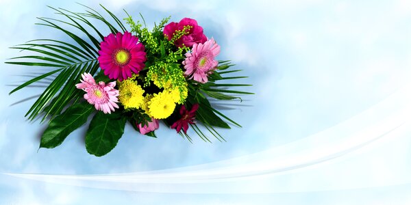 Thank you colorful flora