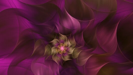 Flower bloom abstract