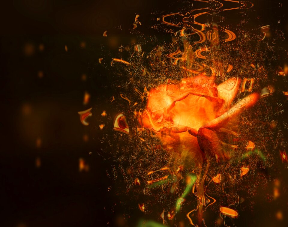 Blasted nature blossom