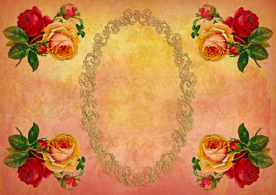 Nostalgic romantic roses