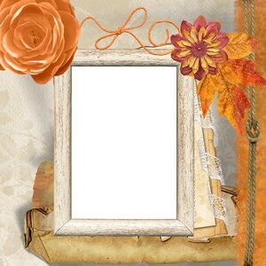 Frame rose flower