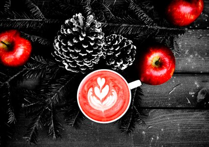 Holiday christmas pine cones