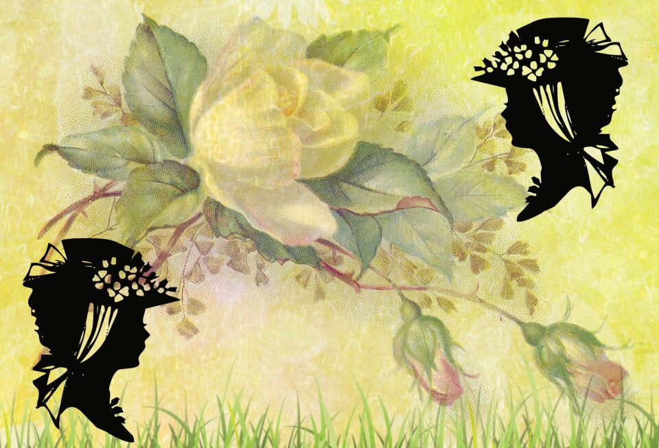 Garden ornato ornamental